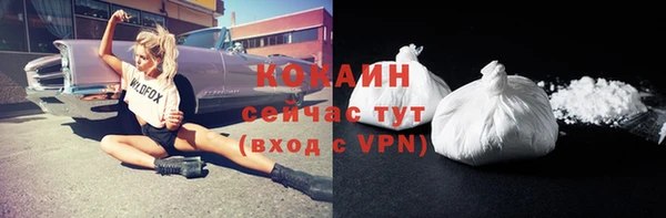твердый Алексин